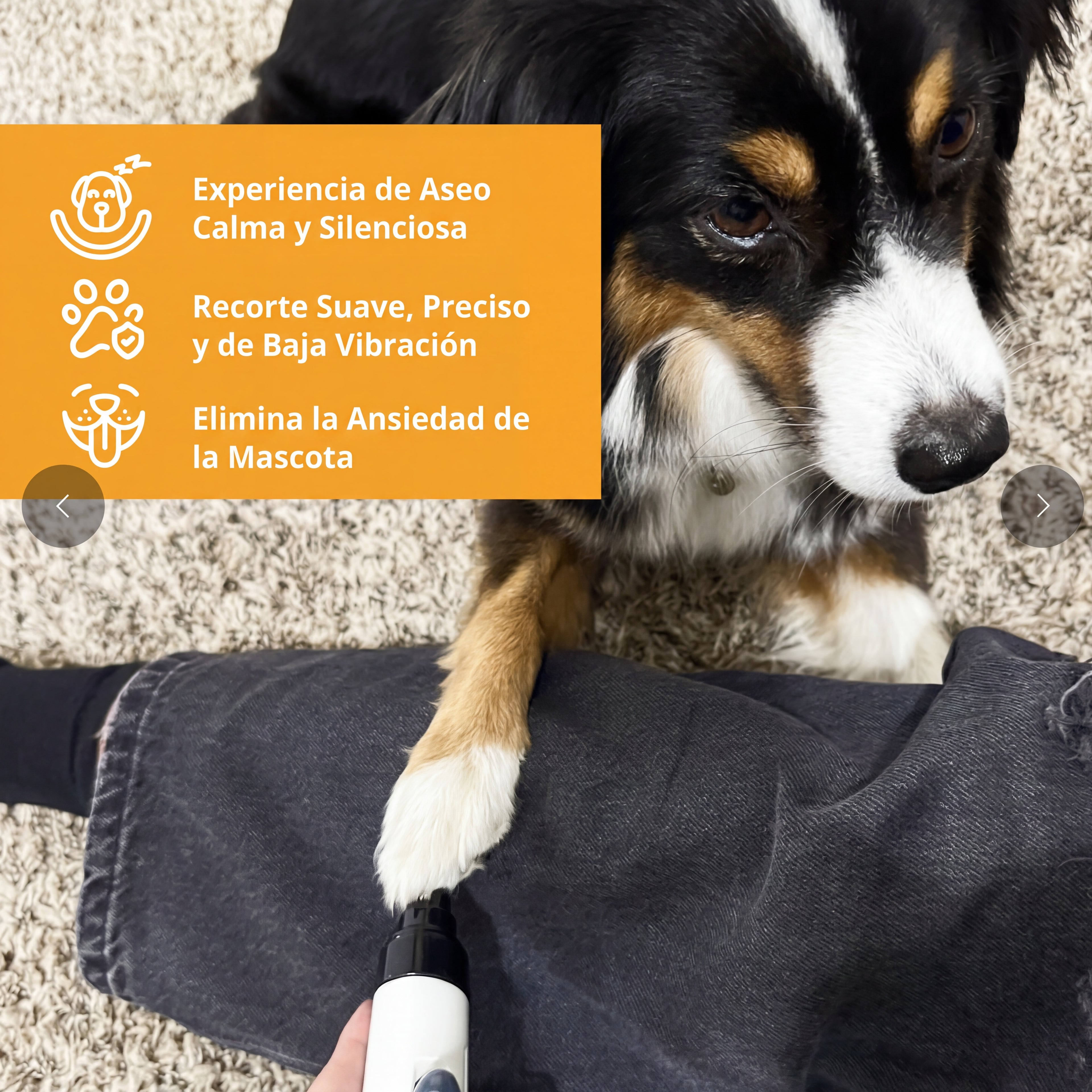 Lima de Uñas Ultra Silenciosa para perros y gatos Clawly Pro