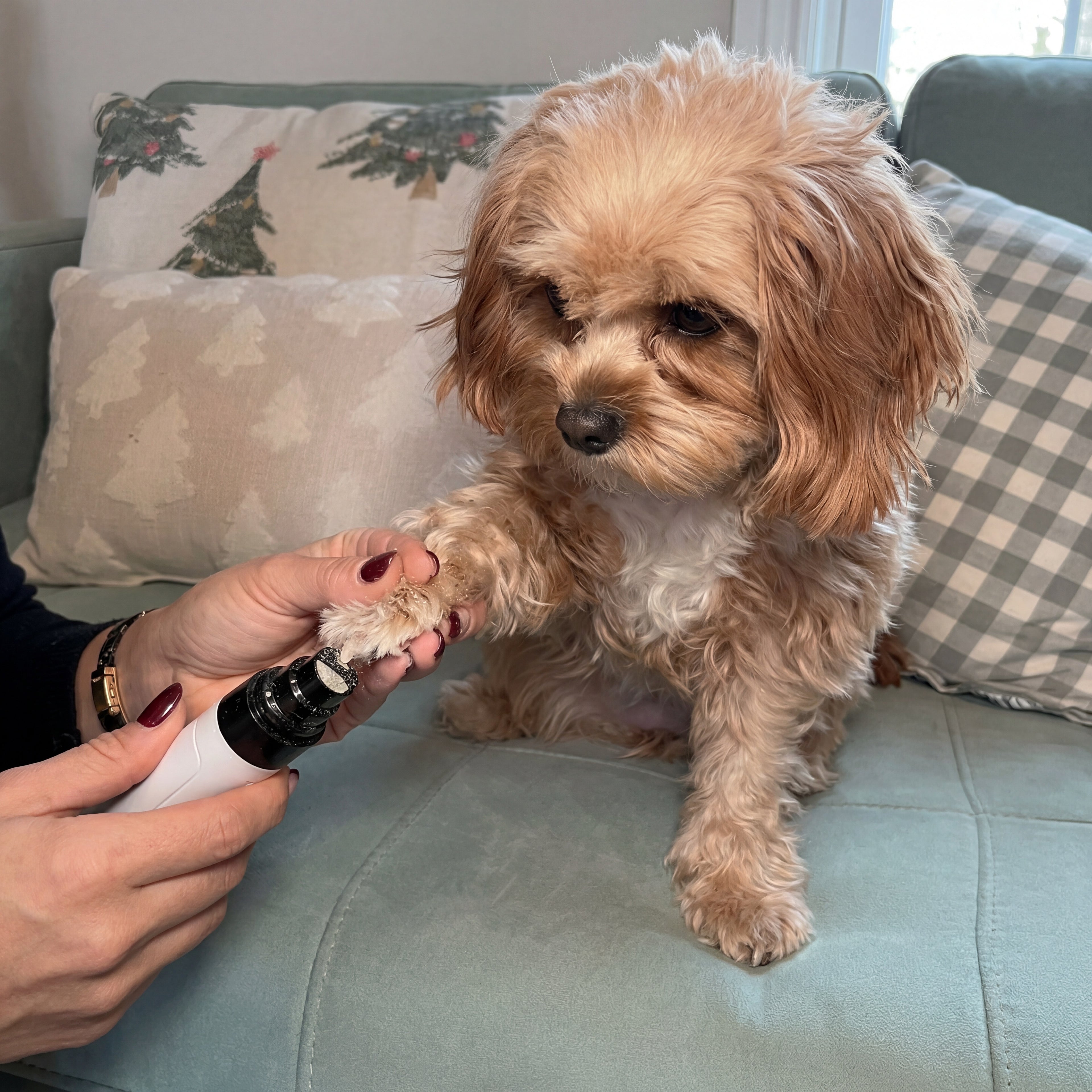 Lima de Uñas Ultra Silenciosa para perros y gatos Clawly Pro